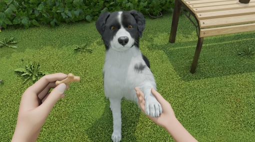 PC向け愛犬育成シミュレーション「Dog Trainer」が配信決定。トレーニング風景を収録したティザートレイラーを公開