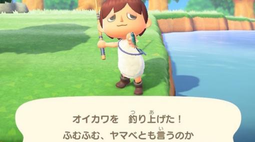 雑魚のくせして超キレイ！『あつまれ どうぶつの森』で釣れるオイカワってどんな魚？【平坂寛の『あつ森』博物誌】