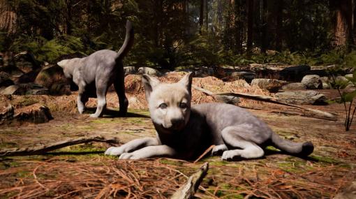 動物にも人間にもなれるオープンワールドサバイバルゲーム『Wilderness』開発中。肉食獣、草食獣、人間で全く異なるゲームプレイが待つ荒野の生存競争
