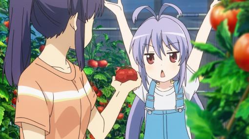 のんのんびより のんすとっぷ 第04話「トマトを届けるサンタになった」 - ニコニコ動画