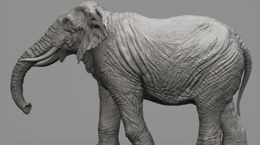 WORK 029 "Elephant" / ZBrushでリアリティのある生物モデリング - 連載