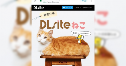 同人コンテンツ販売の「DLsite」は元々猫好きコミュニティだった…？そこから同人ショップにシフトした経緯が斜め上すぎる - Togetter