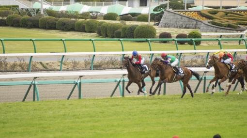 競馬に関する法律の話②（ギャロップレーサー事件　競走馬のパブリシティ権） | 滋賀県・草津市の弁護士｜ミカン法律事務所