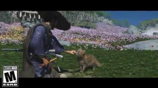 『Ghost of Tsushima Director’s Cut』で新たに追加される動物は「猫」、さらに「鹿」「猿」も登場。好きなだけ撫でることが可能