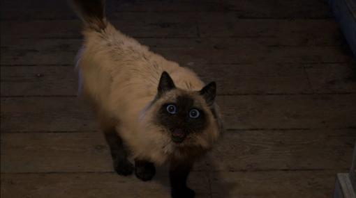 スクウェア・エニックスの新作『FORSPOKEN』の猫をめぐる問い合わせが殺到。異世界で冒険する飼い主不在中の安否を公式Twitterが回答