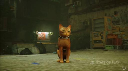 「猫」となりサイバーパンクの都市を探索する『Stray』7月19日に発売決定