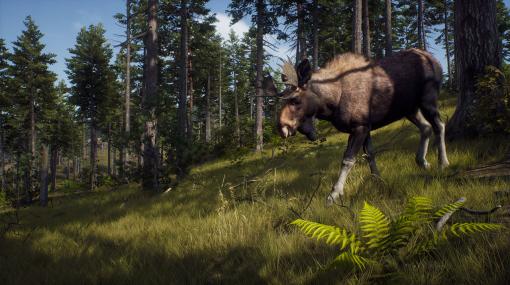 「Way of the Hunter」最新トレイラー公開。ミュールジカやアメリカグマなど，ゲーム内で出会えるさまざまな動物を紹介する映像