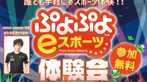 「ぷよぷよ eスポーツ」体験会が10月22日にMEGAドン・キホーテ姫路広畑店で開催へ