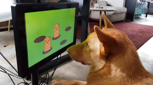 「犬用のゲーム機」が真剣開発中。タッチパネルや「自動おやつ機能」を搭載し、愛犬の健康をサポート