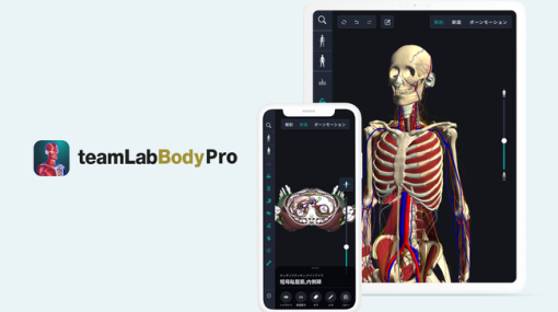 人体の構造がわかる3D人体解剖学アプリ「teamLabBody Pro」開発、骨関節・筋肉の動きを可視化、断面図を自由に表示可能（チームラボ） – ニュース