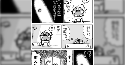 【シモ注意】「おち〇ちんに何か出来てしまった」泌尿器科にいくクリボーの漫画→「痛い痛い痛い」「ノー麻酔！？」