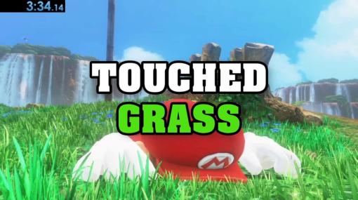 『スーパーマリオ』作品で「どれだけ速く草に触れるか」を計測する人物現る。なぜ