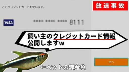 魚にクレカ情報開示された！『ポケモン』プレイ配信中のペットが勝手に…その後500円分を不正利用する暴れっぷり