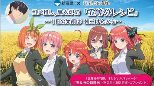 『五等分の花嫁』新潟県とのコラボで描き下ろしを使用した“五斗分の新潟米”が当たる！