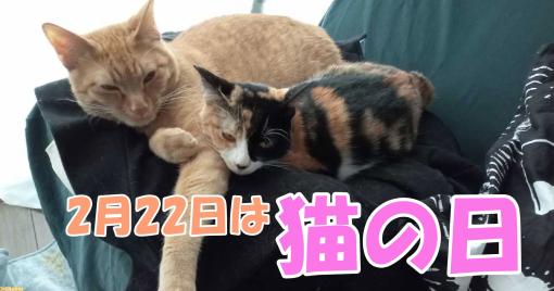 2月22日は“猫の日”！ 猫たちへの愛が感じられる“ファミ通的猫ゲー”10選【ニャー】