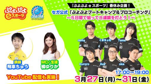 「ぷよぷよeスポーツ」，目指せ8連鎖！ “ぷよぷよブートキャンプ＆プロコーチング”を3月27日から31日にオンラインで開催