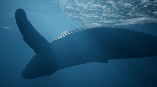 クジラやメンダコ、はては魚群まで多彩な海の生き物で大海を旅するゲーム『Whale Fall』のトレーラーが公開。東京芸大の大学院生がUE5で制作し、今夏の発売を目指す