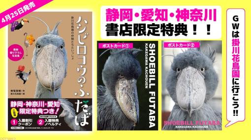 ハシビロコウの写真集『ハシビロコウのふたば』が発売決定。4月25日から静岡・愛知・神奈川の書店、Amazonで販売