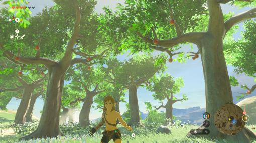 「ゼルダの伝説 ティアーズ オブ ザ キングダム」にて序盤に大活躍なりんご畑が存在ソナパノの祠付近でりんごを大量入手！