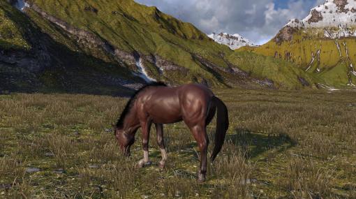 馬体験オープンワールド『馬の命（Horse Life）』開発中。厳しい大自然で野生の馬ライフを味わう