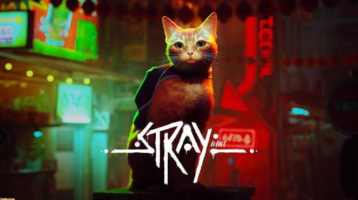 『Stray』Xbox Series X|S＆Xbox One版が8月10日配信決定。猫が廃墟世界を旅するアクションアドベンチャー