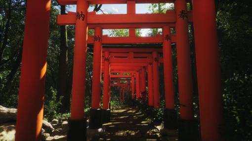 世界中の風光明媚な土地をめぐって写真を撮るシミュレーション「Lushfoil Photography Sim」，日本の景色も確認できるトレイラーを公開