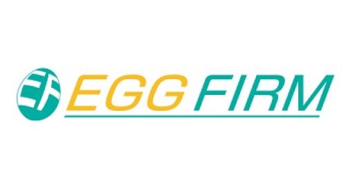 EGG FIRM、2023年3月期の決算は最終利益39%増の4100万円と大幅増益…『ダンまちIV』や『劇場版SAO 冥き夕闇のスケルツォ』など