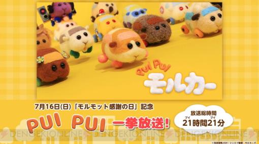 【無料】『PUI PUI モルカー』全話を21時間21分（プイプイ）繰り返す一挙放送は7/15に実施