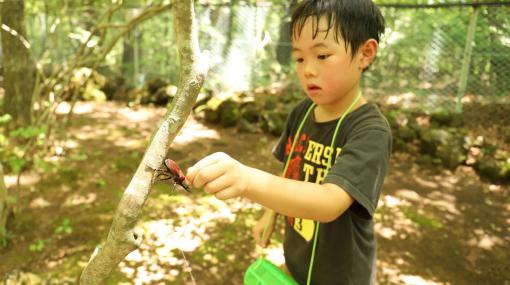 テーマパーク「富士すばるランド」にて夏季限定イベント「カブトムシ狩り」を7月15日より開催