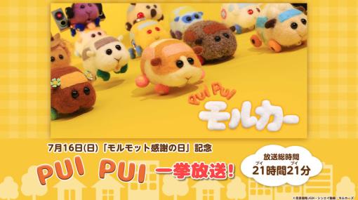 『PUI PUI モルカー』全12話を21時間21分（ぷいぷい）繰り返し放送する狂気の一挙放送が7月15日に開催決定。“モルモット感謝の日”にちなんで21時21分スタート