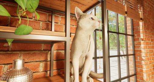 PCの壁紙で猫が飼えるクリッカーゲーム『CatsMeowLiveWallpaper』9月15日に発売。愛らしく動くにゃんこを観察＆めでよう