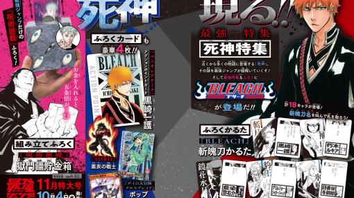 「『BLEACH』斬魄刀かるた」が「最強ジャンプ 11月号」付録に決定！“霜天に坐せ”など解号に対応した斬魄刀の名を叫んで札を取る