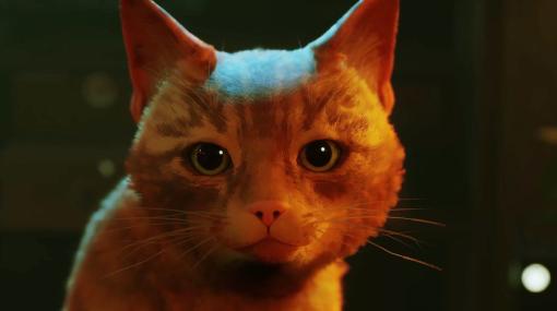 猫になってサイバーパンク都市を冒険するADV『Stray』のアニメ映画化が発表