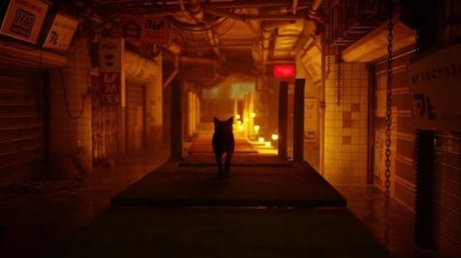 PS5/PS4用『Stray』パッケージ版の店舗別予約購入特典発表―スペシャルエディション同梱内容の一部変更も