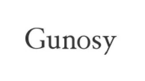 【株式】GunosyがS高　出資先企業によるインドの銀行との合併が承認されたと伝えられたことが刺激に