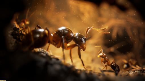 『Empire of the Ants』アリとなって過酷な自然を生き抜く、3Dリアルタイムストラテジー【先出し週刊ファミ通】