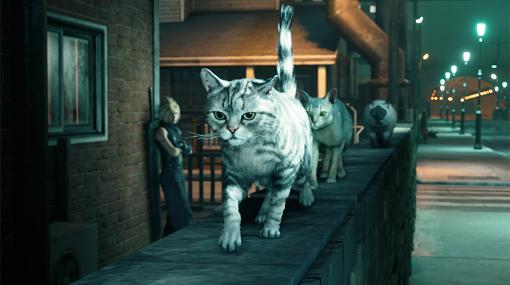 『FF7リメイク』浜口ディレクター、愛猫がゲーム中に登場していたと認める。ミッドガルに再現されたアメショ の「ムサシ君」