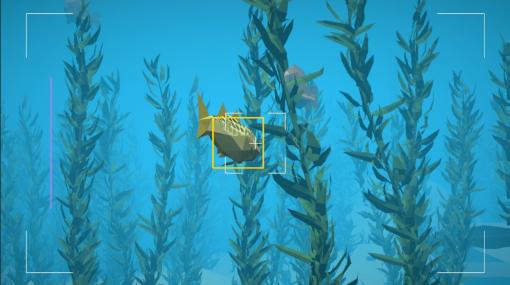 海中撮影ゲーム『Pelagos: A Marine Adventure』発表。手つかずの自然とそれを汚すゴミを見つけ、美しい海の姿について考える