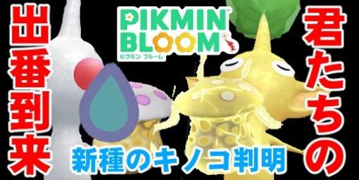 『ピクミン ブルーム』新種のキノコが判明!! アプデをしたら未来予想図が書き込まれていた件【プレイログ#473】