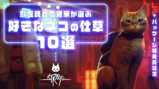 獣医師と愛猫家が選ぶ、好きなネコの仕草10選を『Stray』で見よう【PR】