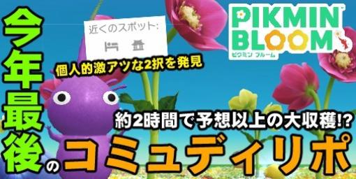 『ピクミン ブルーム』コミュディの成果は? クリスマスローズで上野恩賜公園を埋め尽くした週末リポート【プレイログ#502】