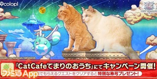 『白猫NW』実写化断念！出演ネコが所属する“CatCafeてまりのおうち”にてキャンペーン開催【エイプリルフール】