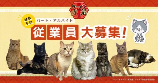 アニメ『ラーメン赤猫』が“従業猫”を大募集!! 時給は？ 勤務時間は？【エイプリルフール】