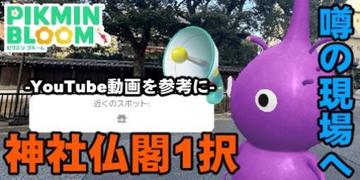 『ピクミン ブルーム』噂の神社仏閣1択スポットに突撃!! 通い馴れた土地に潜んでいた最高の体験リポート【プレイログ#527】