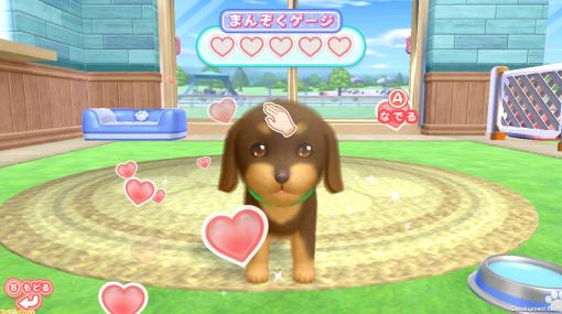 Switch『わんことあそぼ! めざせドッグトレーナー!』が4月25日に発売。かわいい子犬と遊びながらドッグトレーナーを目指そう