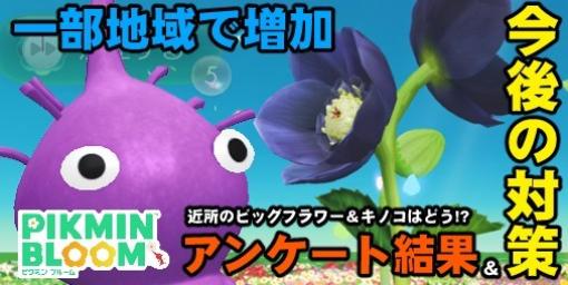 『ピクミン ブルーム』ビッグフラワーとキノコは増えた!? 地元の変化とみんなの手応えを比べてみた【プレイログ#558】