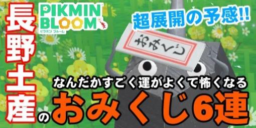 『ピクミン ブルーム』おみくじ6連ダブリなし!? 長野取材で拾った善光寺周辺の苗が帰ってきた【プレイログ#561】