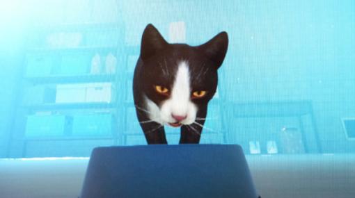 家を追われた猫の切ない物語…完全に猫になり切るアドベンチャー『COPYCAT』を試遊【TIGS2024】