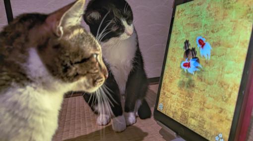 ネコ用おもちゃアプリ5作品を2匹のネコがガチレビュー。忖度なしの「ネコゲーグランプリ」を勝手に開催！