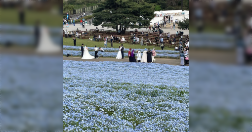 海浜公園 ウェディングフォト撮ってる人いっぱいいたし勇者パーティーもいた→「フリーレンの魔法だったのか」